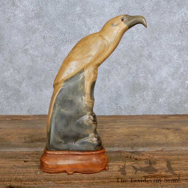 Asian Water Buffalo Horn Eagle Carving For Sale #14008 @ The Taxidermy Store