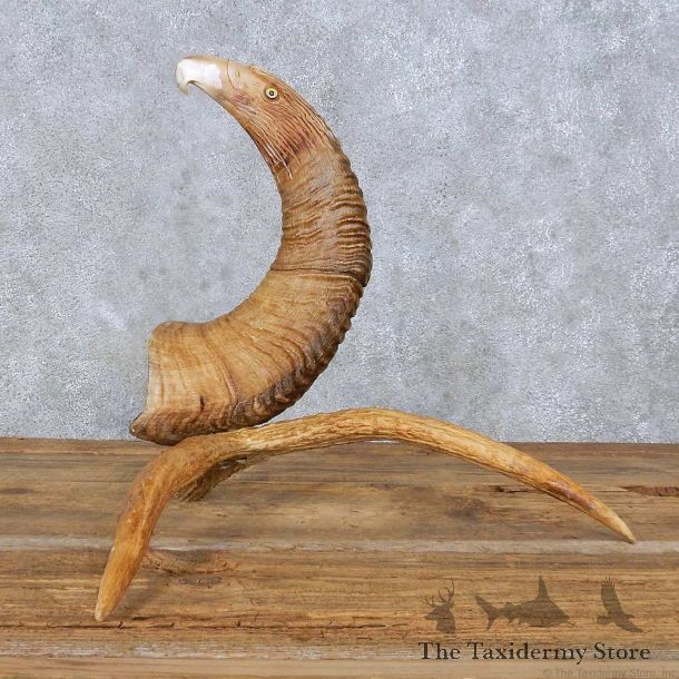 Bighorn Sheep Horn Eagle Head Carving For Sale #13963 @ The Taxidermy Store