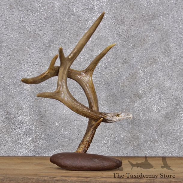 Eagle Head Carving on Whitetail Antler #10746 For Sale @ The Taxidermy Store