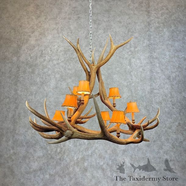 Elk Antler Chandelier For Sale #21279 @ The Taxidermy Store