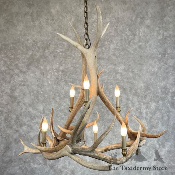 Elk Antler Chandelier For Sale #28733 @ The Taxidermy Store
