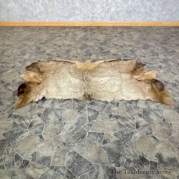 Elk Back Hide For Sale #26312 @ The Taxidermy Store