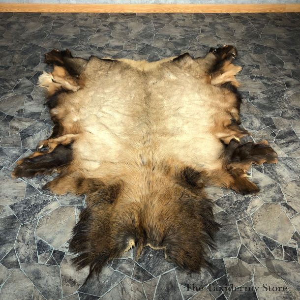 Elk Hide Mount For Sale #20075 @ The Taxidermy Store