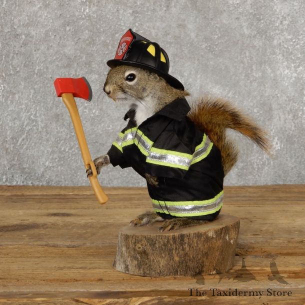 Firefighter Squirrel Novelty Mount For Sale #18901 @ The Taxidermy Store