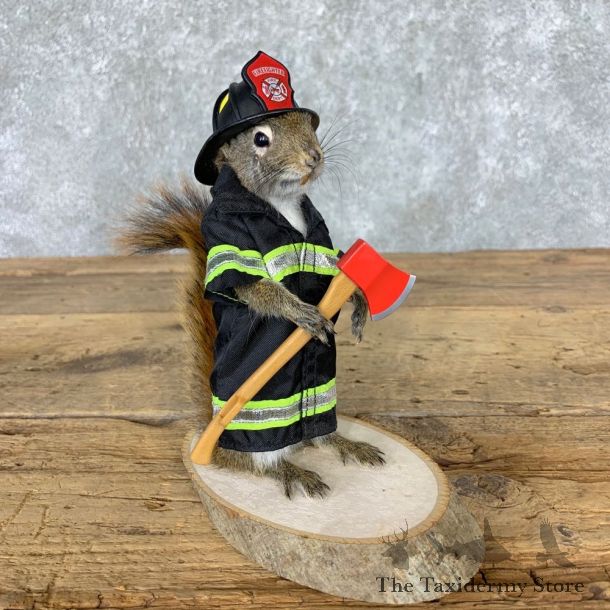 Firefighter Squirrel Novelty Mount For Sale #23003 @ The Taxidermy Store