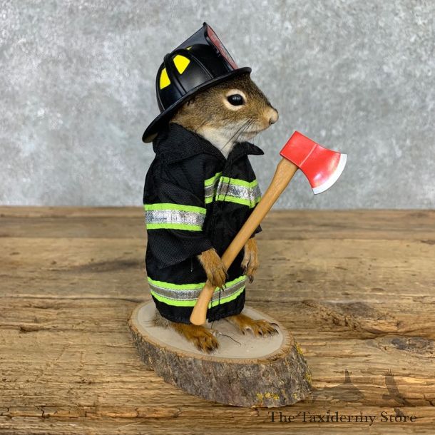 Firefighter Squirrel Novelty Mount For Sale #23468 @ The Taxidermy Store