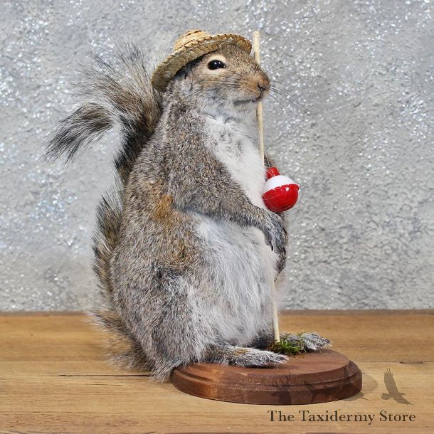 Novelty Fishing Squirrel Mount #11925 For Sale @ The Taxidermy Store