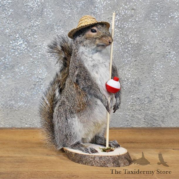 Novelty Fishing Squirrel Mount #11926 For Sale @ The Taxidermy Store
