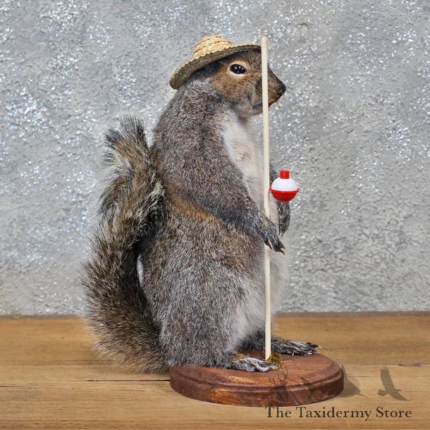 Novelty Fishing Squirrel Mount #11927 For Sale @ The Taxidermy Store
