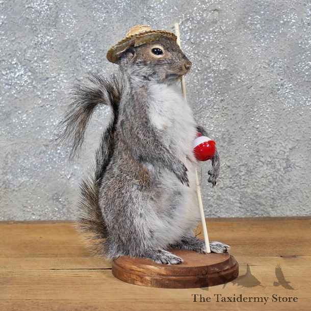 Novelty Fishing Squirrel Mount #11928 For Sale @ The Taxidermy Store