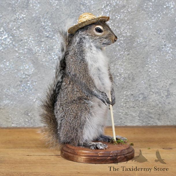 Novelty Fishing Squirrel Mount #11929 For Sale @ The Taxidermy Store