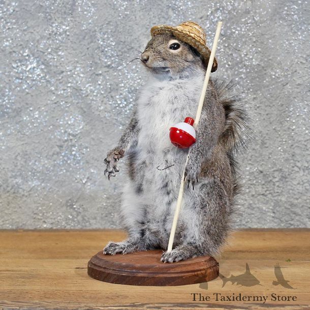 Novelty Fishing Squirrel Mount #11930 For Sale @ The Taxidermy Store
