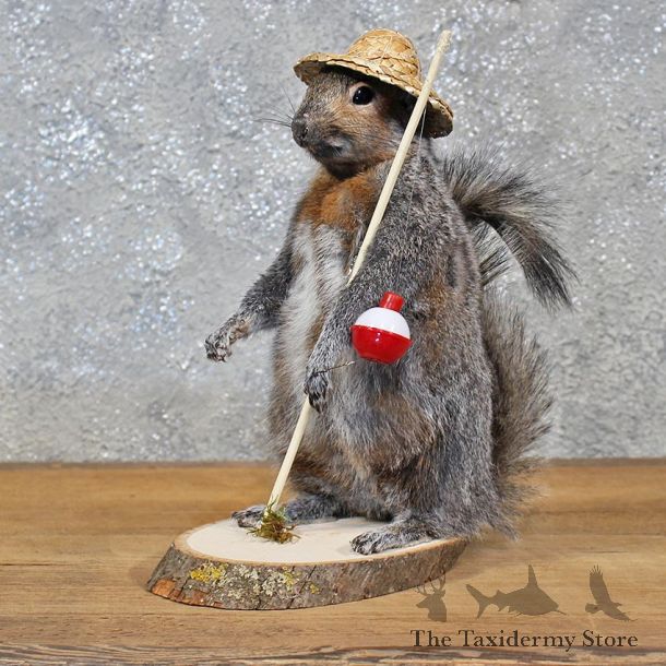 Novelty Fishing Squirrel Mount #11931 For Sale @ The Taxidermy Store