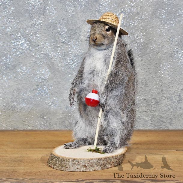 Novelty Fishing Squirrel Mount #11932 For Sale @ The Taxidermy Store