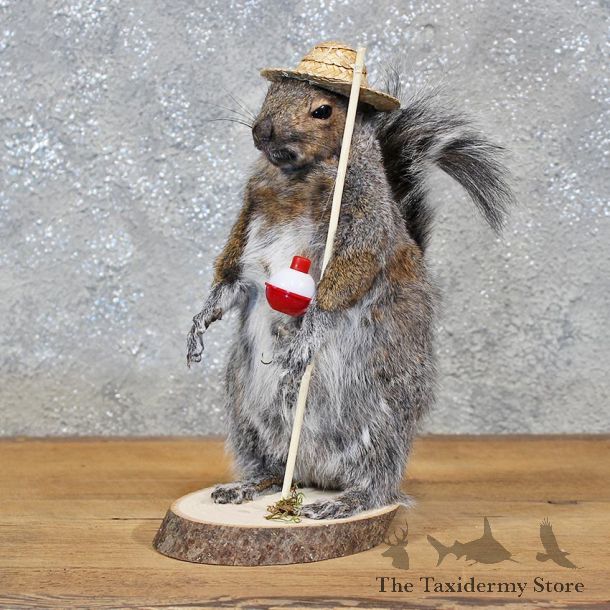 Novelty Fishing Squirrel Mount #11933 For Sale @ The Taxidermy Store