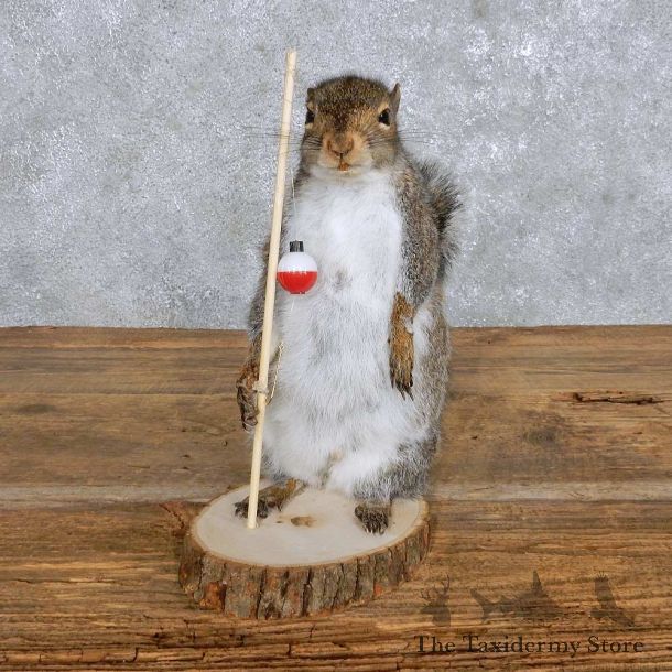 Novelty Fisherman Squirrel Mount For Sale #14176 @ The Taxidermy Store