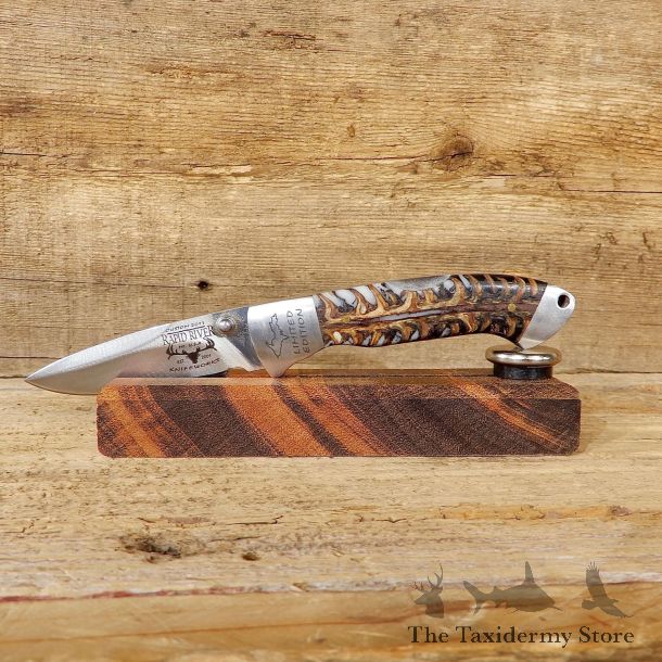 Folding Pocket Clip Knife with Genuine Pinecone Handle For Sale #19226 @ The Taxidermy Store