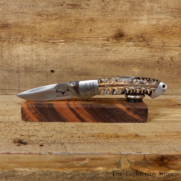 Folding Pocket Clip Knife with Genuine Pinecone Handle For Sale #19228 @ The Taxidermy Store
