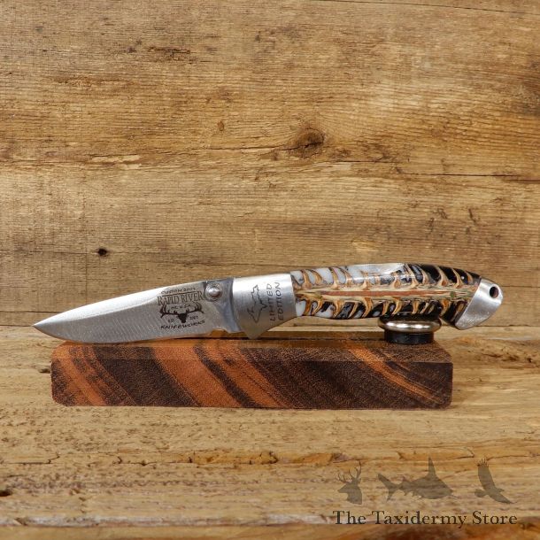 Folding Pocket Clip Knife with Genuine Pinecone Handle For Sale #19230 @ The Taxidermy Store