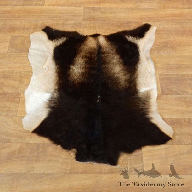 Goat Hide Taxidermy Tanned Skin For Sale #17886 @ The Taxidermy Store