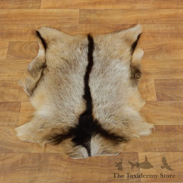 Goat Hide Taxidermy Tanned Skin For Sale #17888 @ The Taxidermy Store