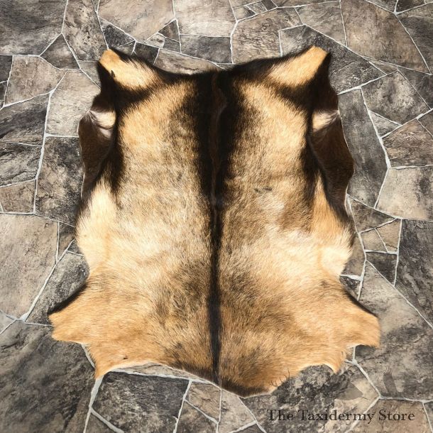 Goat Hide Taxidermy Tanned Skin For Sale #20092 @ The Taxidermy Store