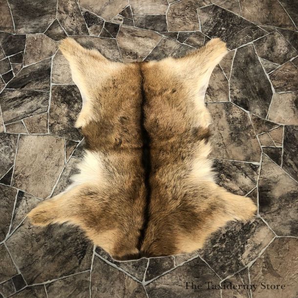 Goat Hide Taxidermy Tanned Skin For Sale #20094 @ The Taxidermy Store