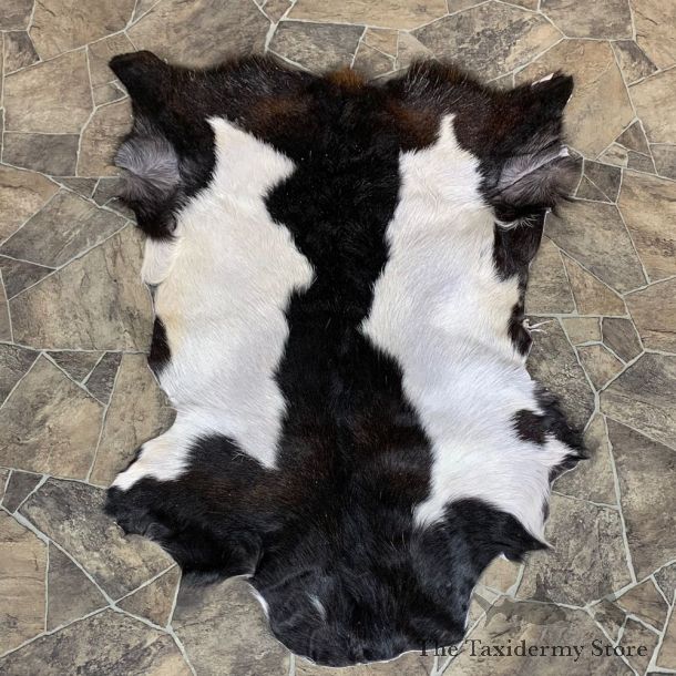 Goat Hide Taxidermy Tanned Skin For Sale #22750 @ The Taxidermy Store