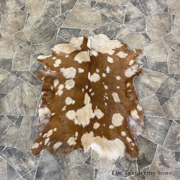 Goat Hide Taxidermy Tanned Skin For Sale #25316 @ The Taxidermy Store