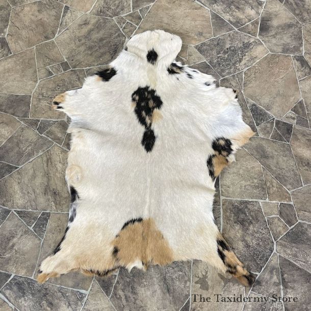 Goat Hide Taxidermy Tanned Skin For Sale #25317 @ The Taxidermy Store
