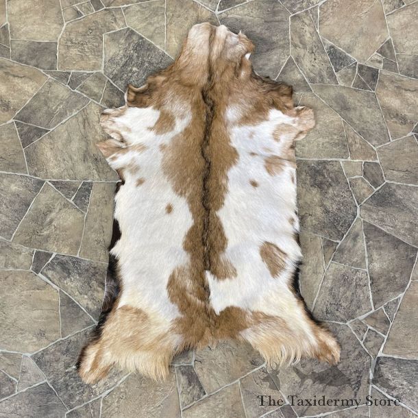 Goat Hide Taxidermy Tanned Skin For Sale #25318 @ The Taxidermy Store