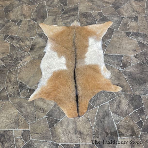 Goat Hide Taxidermy Tanned Skin For Sale #26285 @ The Taxidermy Store