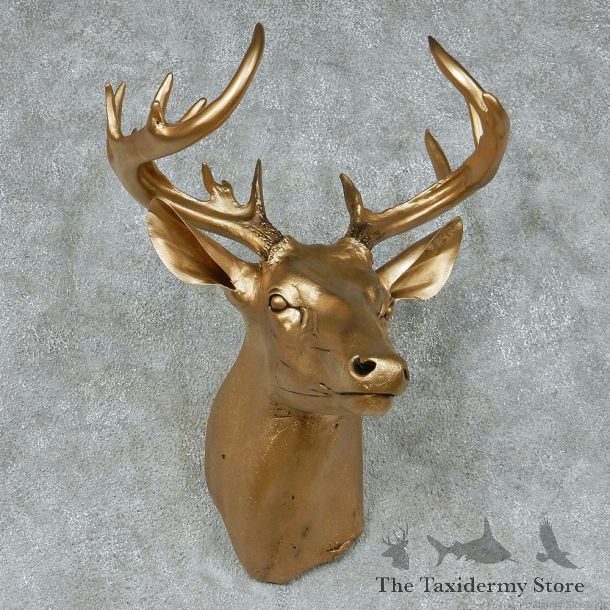 Golden Whitetail Deer Shoulder Taxidermy Mount #13113 For Sale @ The Taxidermy Store