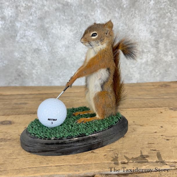 alice auaa 蜘蛛の巣 レギンス gothic y2k パンク グランジ alice auaa 蜘蛛の巣 レギンス gothic y2k パンク グランジ - レッグ