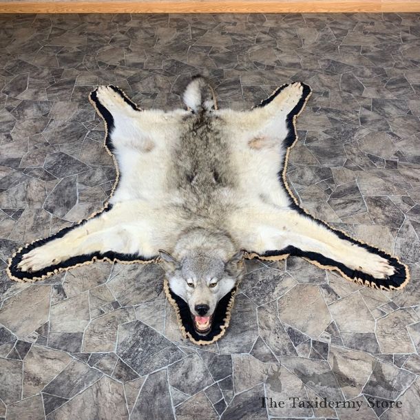 Gray Wolf Rug Taxidermy Mount For Sale #21864 @ The Taxidermy Store