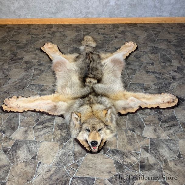 Gray Wolf Rug Taxidermy Mount For Sale #22104 @ The Taxidermy Store