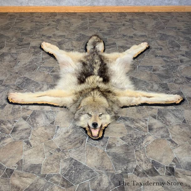 Gray Wolf Rug Taxidermy Mount For Sale #22106 @ The Taxidermy Store