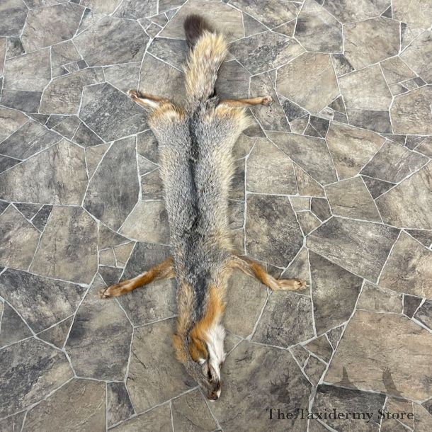 Grey Fox Tanned Hide For Sale #27891 @ The Taxidermy Store
