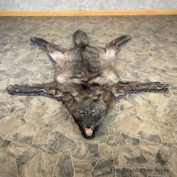 Grey Wolf Full Rug Mount For Sale #27858 @ The Taxidermy Store