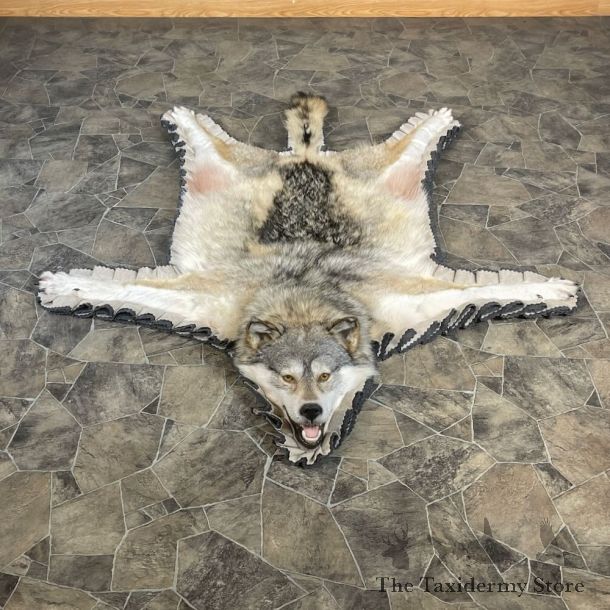 Grey Wolf Full Rug Mount For Sale #27865 @ The Taxidermy Store