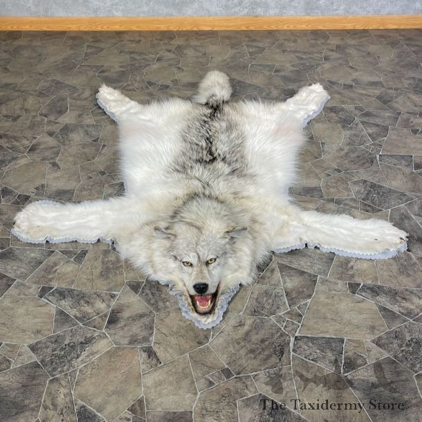 Grey Wolf Rug Taxidermy Mount For Sale #25589 @ The Taxidermy Store
