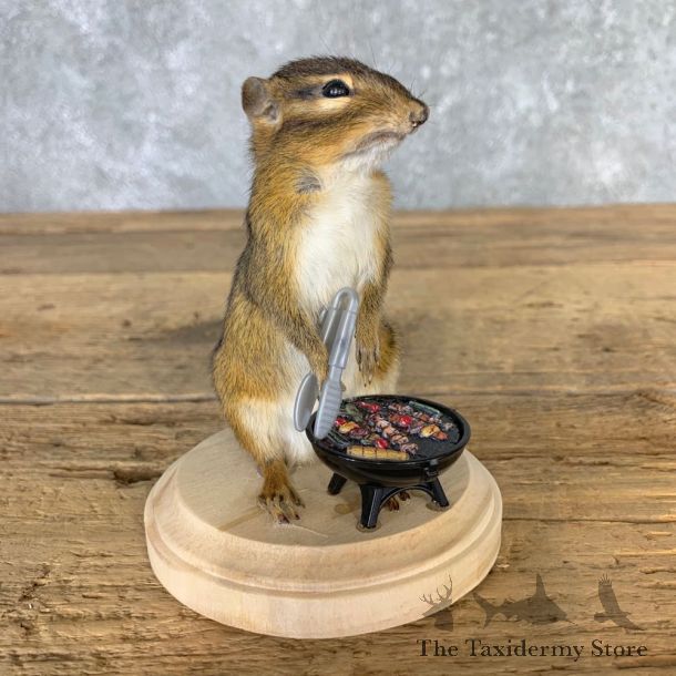 Grilling Chipmunk Novelty Mount For Sale #23240 @ The Taxidermy Store