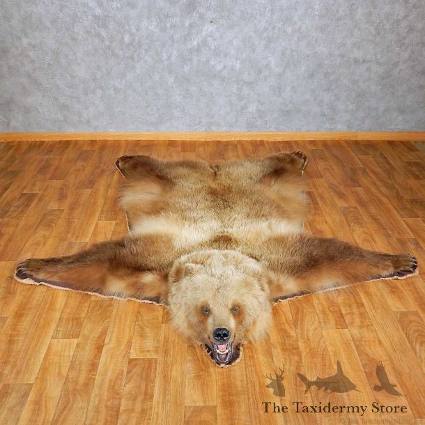 Grizzly Bear Rug Mount For Sale #15264 @ The Taxidermy Store