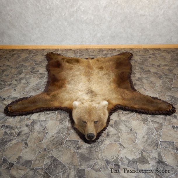 Grizzly Bear Taxidermy Rug Mount For Sale #19260 @ The Taxidermy Store
