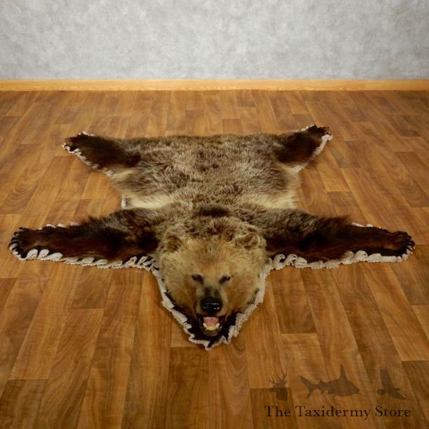 Grizzly Bear Taxidermy Rug Mount For Sale #17498 @ The Taxidermy Store