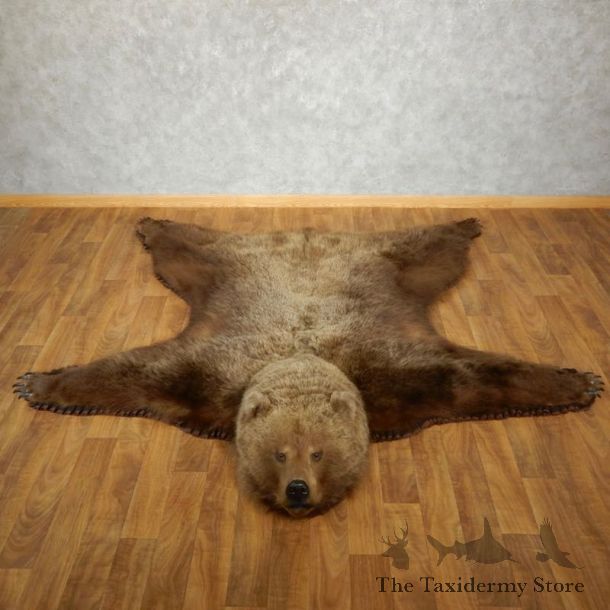 Grizzly Bear Taxidermy Rug Mount For Sale #17495 @ The Taxidermy Store