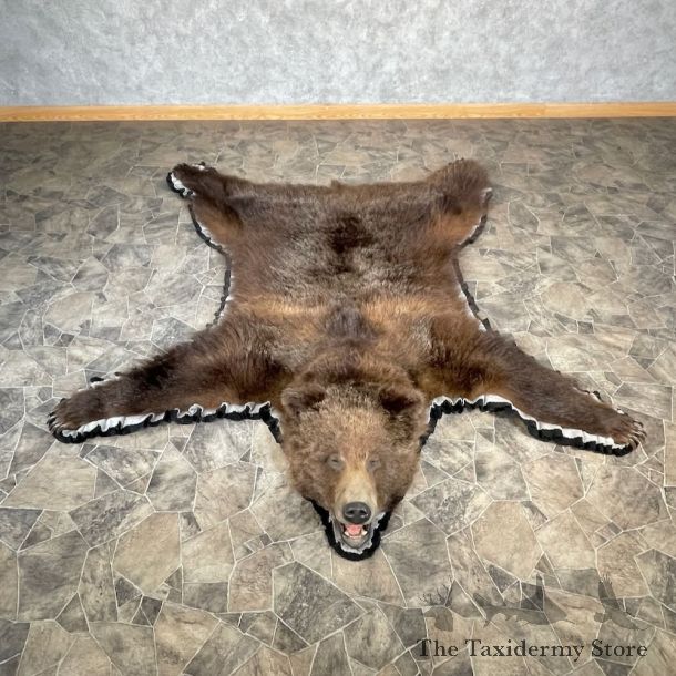 Grizzly Bear Rug Mount For Sale #27847 @ The Taxidermy Store