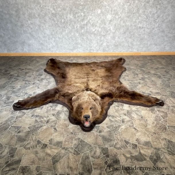 Grizzly Bear Rug Mount For Sale #27855 @ The Taxidermy Store
