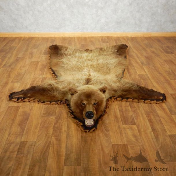 Grizzly Bear Taxidermy Rug Mount For Sale #17500 @ The Taxidermy Store