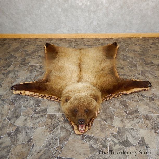 Grizzly Bear Taxidermy Rug Mount For Sale #19261 @ The Taxidermy Store